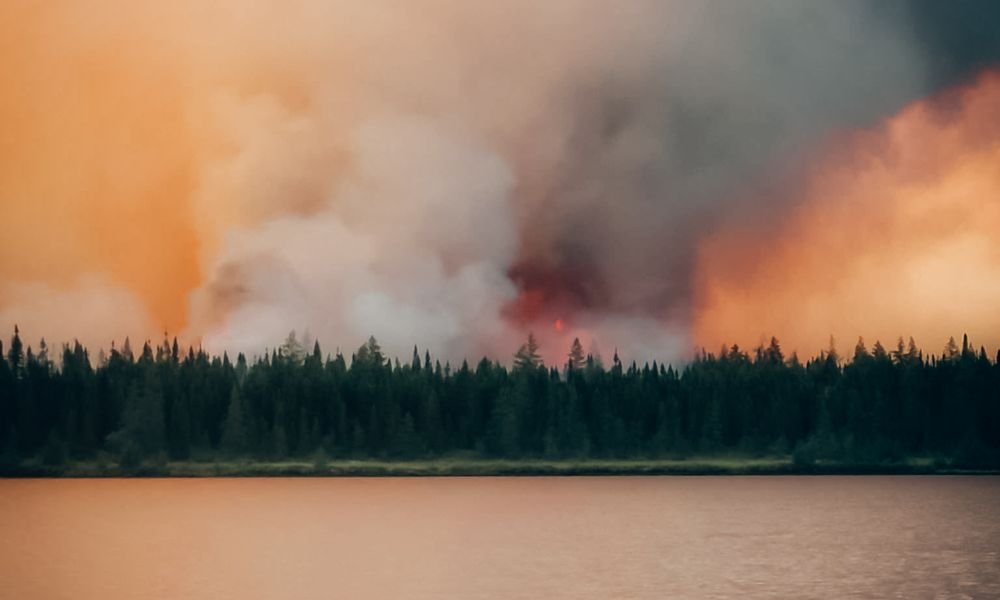 Incêndios florestais no Canadá obrigam milhares de pessoas a deixarem suas casas