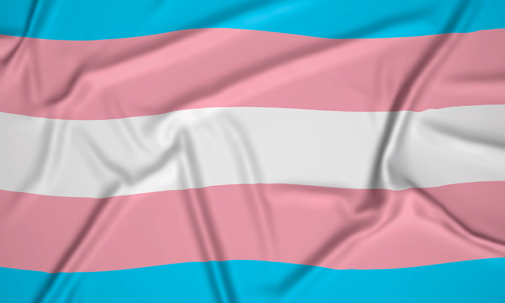 STF nega recurso de mulher trans barrada em banheiro de shopping em Santa Catarina