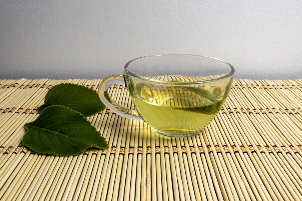 5 benefícios do chá de boldo para a saúde