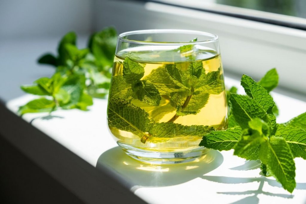 5 benefícios do chá de hortelã para saúde