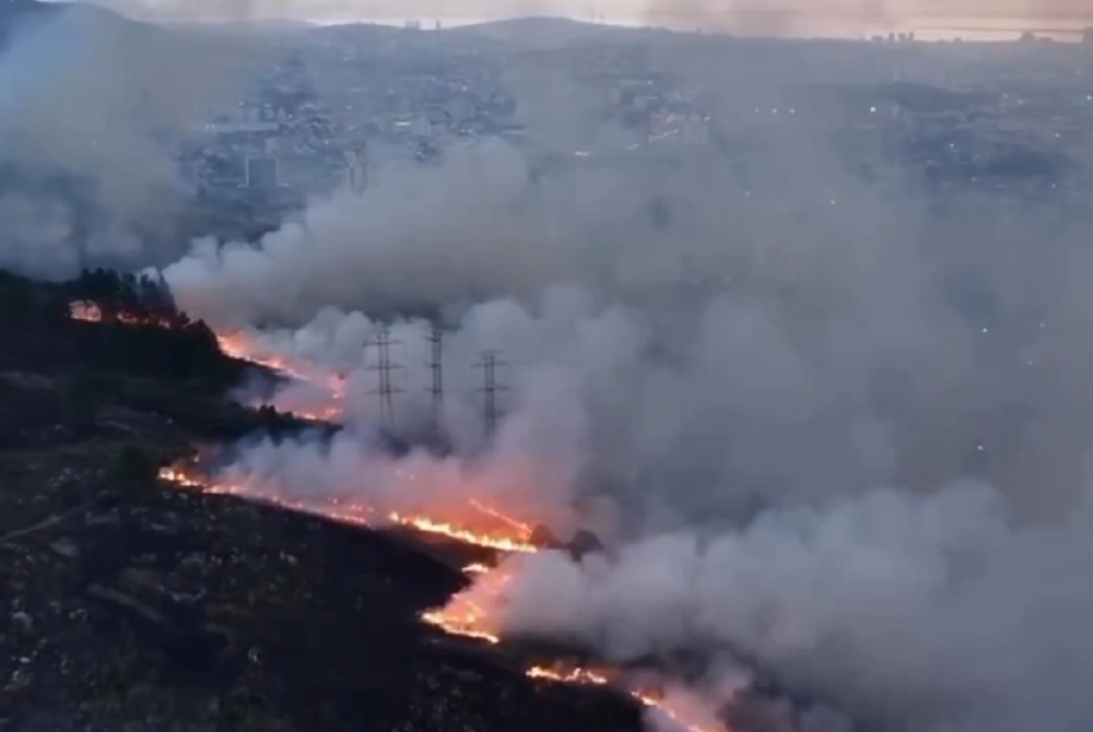 Incêndio atinge área de vegetação emn Porto Alegre; veja vídeo