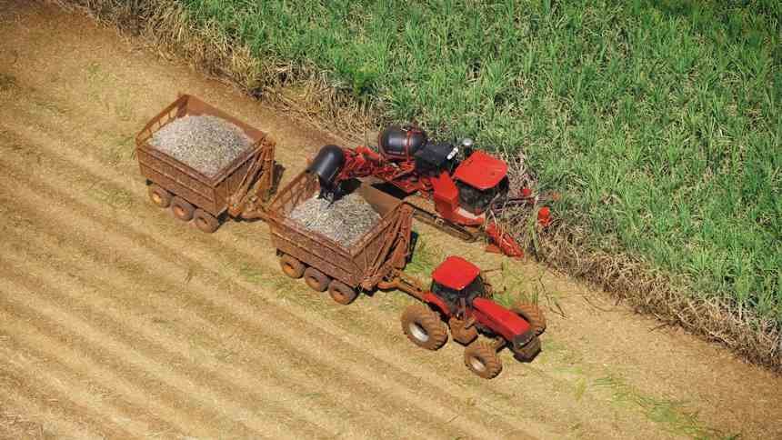 A visão “agridoce” do J.P. Morgan em relação à São Martinho