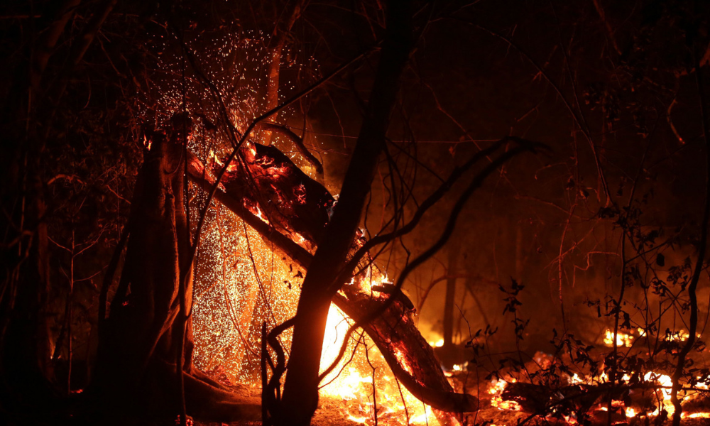 Brasil registra aumento de 78% em focos de incêndio em 2024